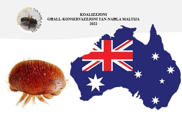 Il-Varroa Aċċidentalment Introdotta fl-Awstralja