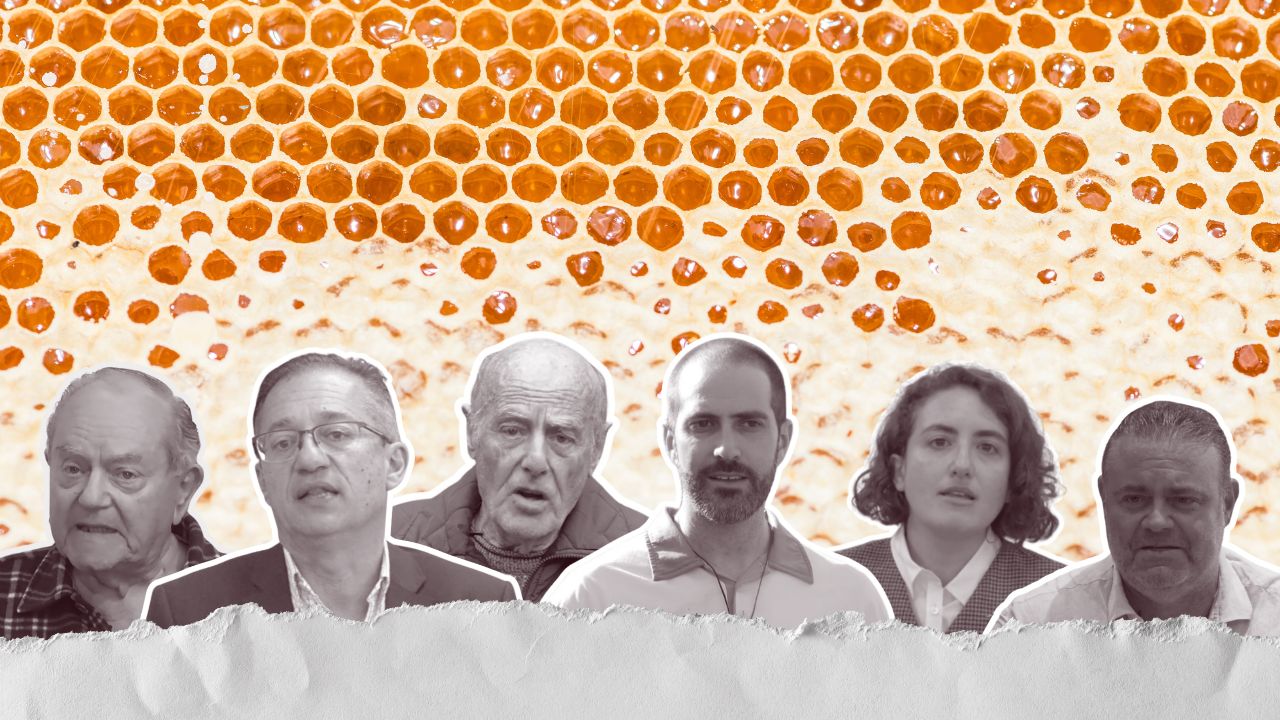 “Ngħarblu x’Qalulna”: Reflecting on Voices for the Maltese Honey Bee